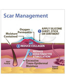 Biodermis Epi-Derm Silicone Gel Large Sheet 15.5"x11" - Clear Gel (5 Sheet per Package)-3