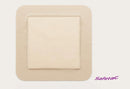 Molnlycke Mepilex Border Foam Dressing 12.5CM X 12.5CM - (5/BOX)-1